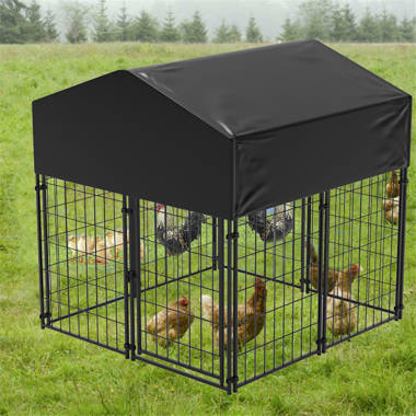 10x10 dog kennel costco sale